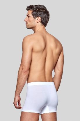 Impetus Travel Premium Boxer mens underwear shorts male trunk special Tencel 